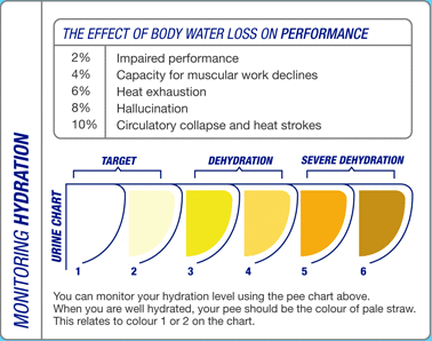 Body Hydration Level Chart
